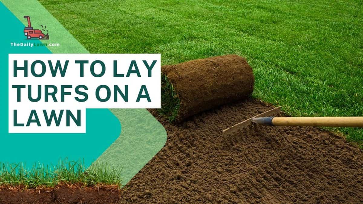 How To Lay Turfs To Create A Beautiful Lawn