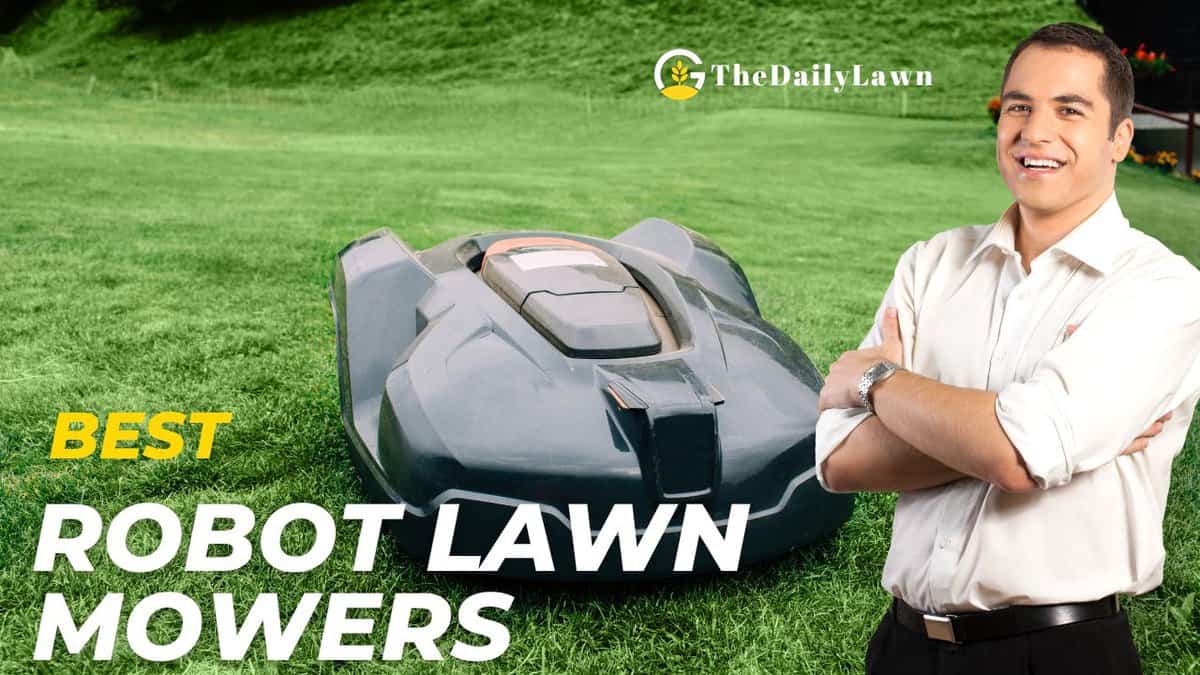 5 Best Robot Lawn Mowers That You Should Check Out