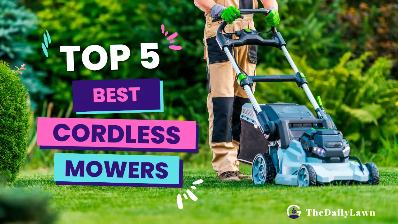 5 Best Cordless Lawn Mowers Powered by Electricity