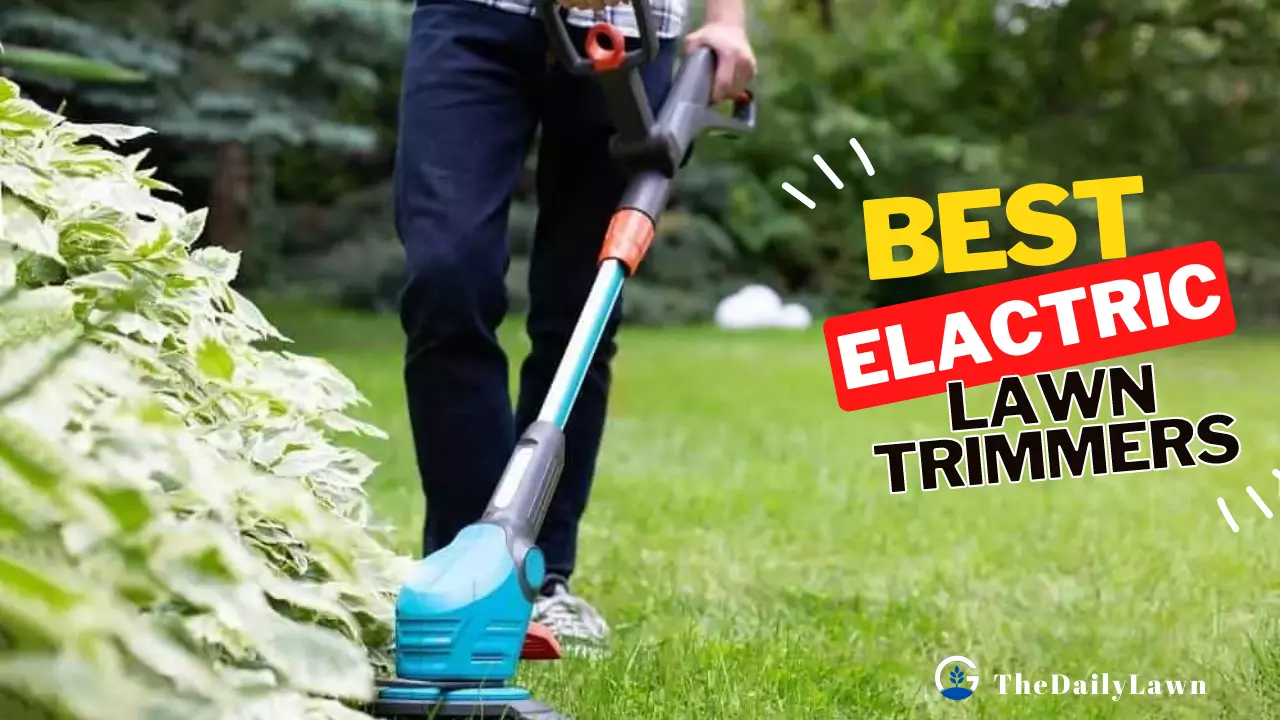 5 Best Electric Lawn Trimmers To Give Your Lawn A Nice Look