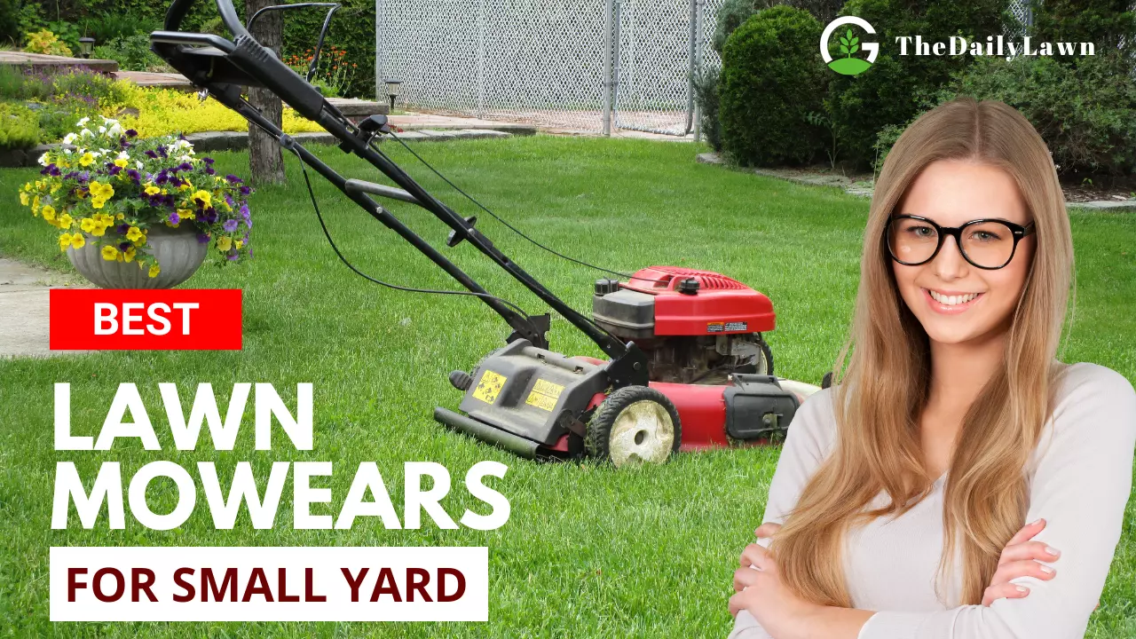 5 Best Lawn Mowers For Small Yard In 2022