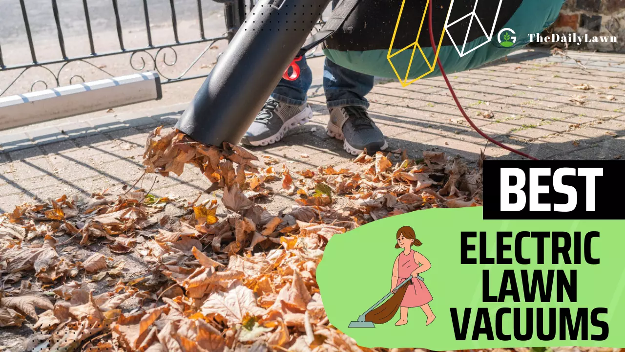 5 Best Electric Lawn Vacuums Keep Your Lawn Clean