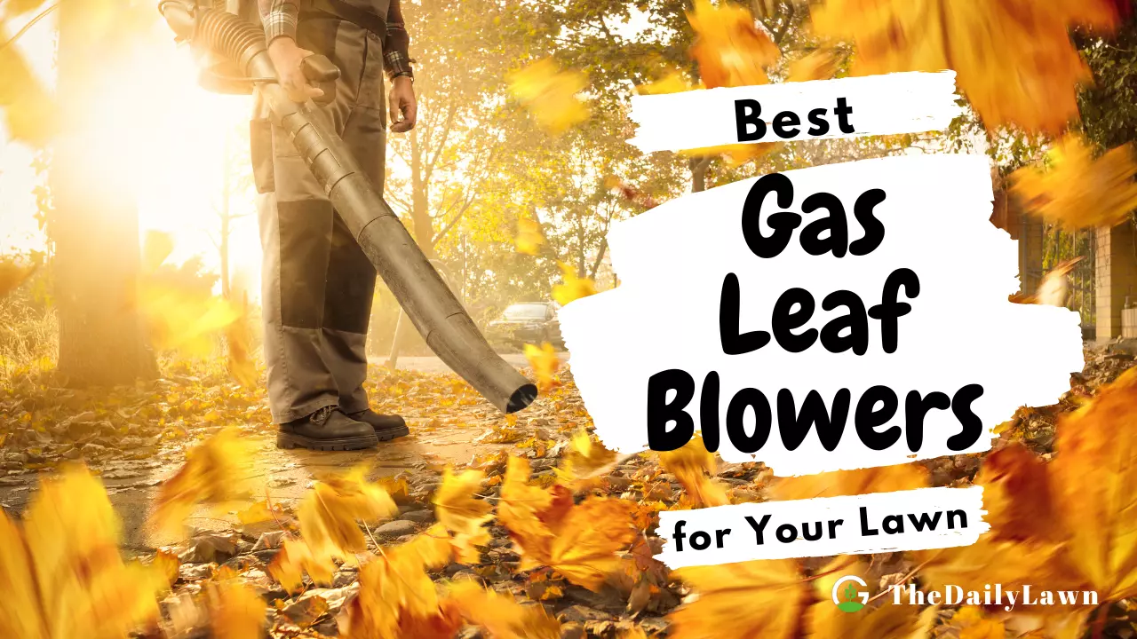 How To Choose The Right Gas Leaf Blower For Your Lawn