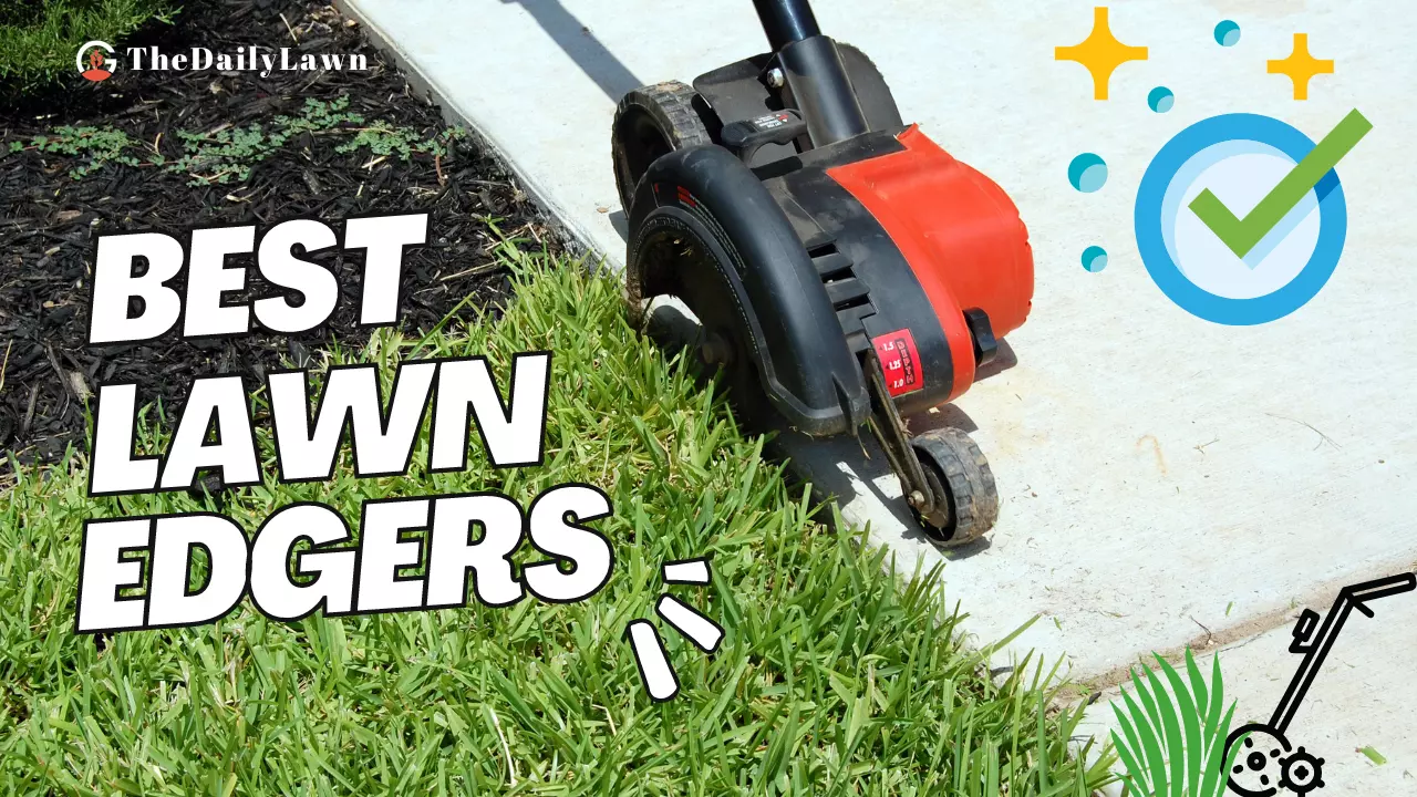 5 Best Lawn Edgers to Keep Your Lawn Clean and Tidy