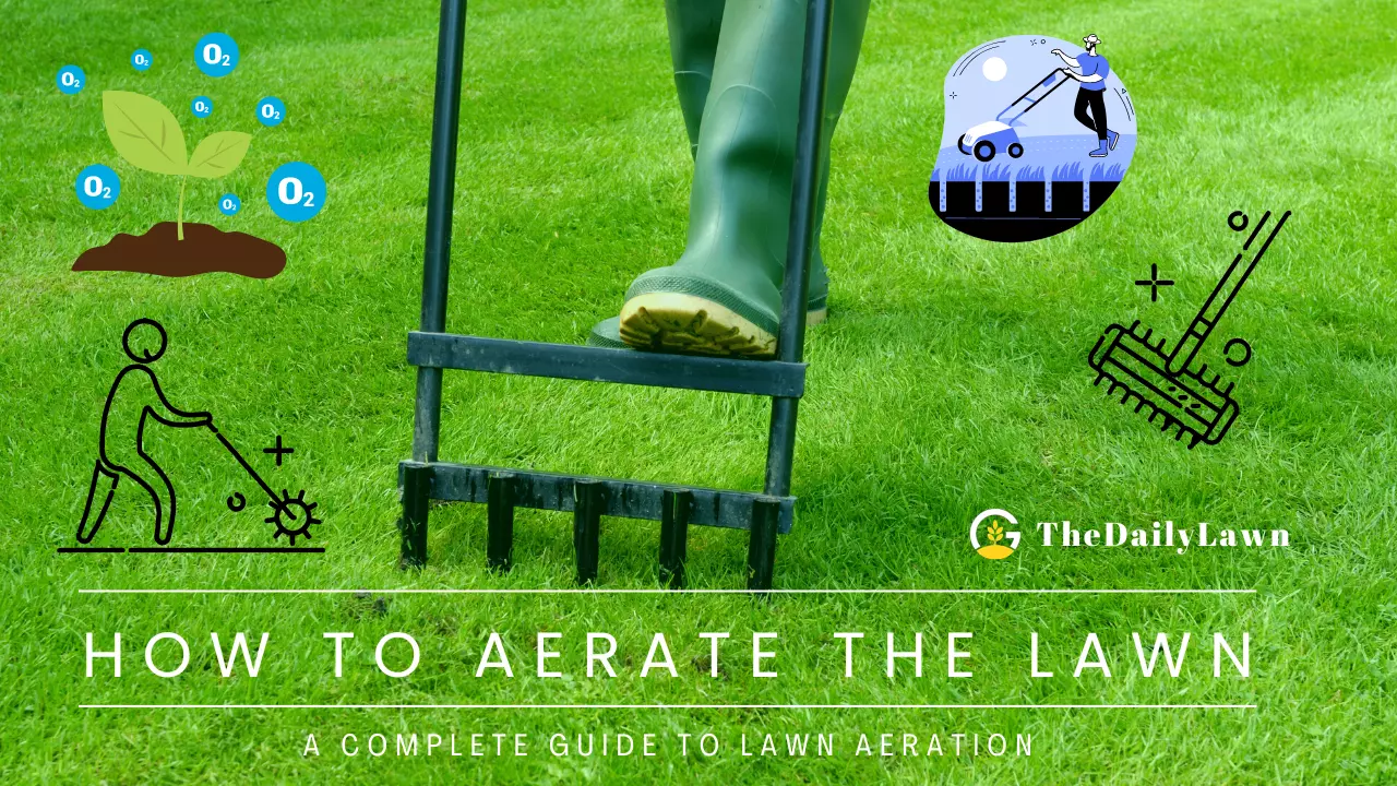 How To Aerate The Lawn? A Complete Guide To Aeration