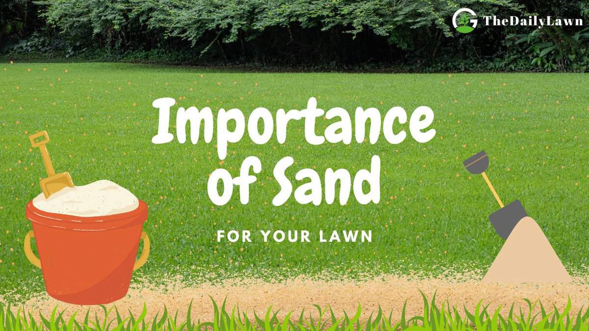 sand-for-lawn-improve-your-lawn-s-health-with-sand