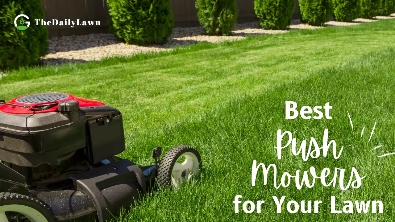 5 Best Push Mowers for Your Lawn To Buy